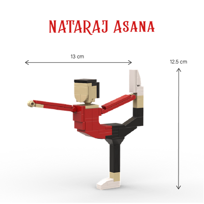 Nataraja Asana Building Set (60 Pieces) - COD Not Available