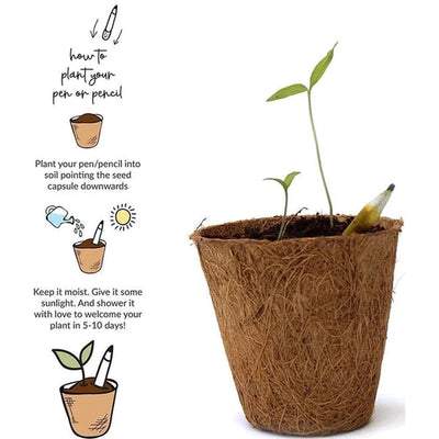 5 PLANTABLE PENCILS