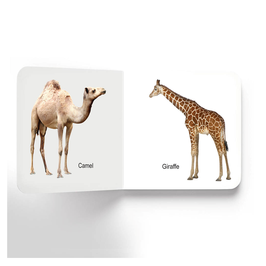 Lovely Board Books - Animals