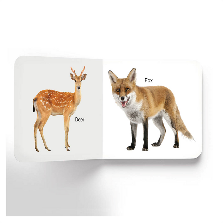 Lovely Board Books - Animals