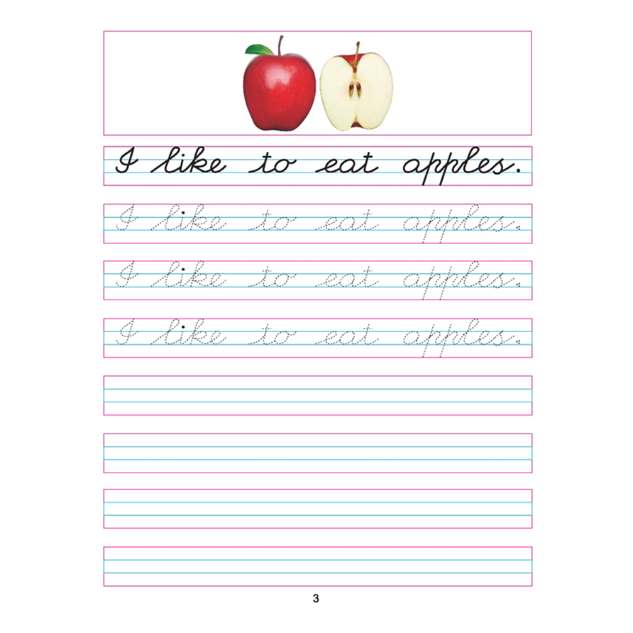 Cursive Writing Book (Sentences) Part 5