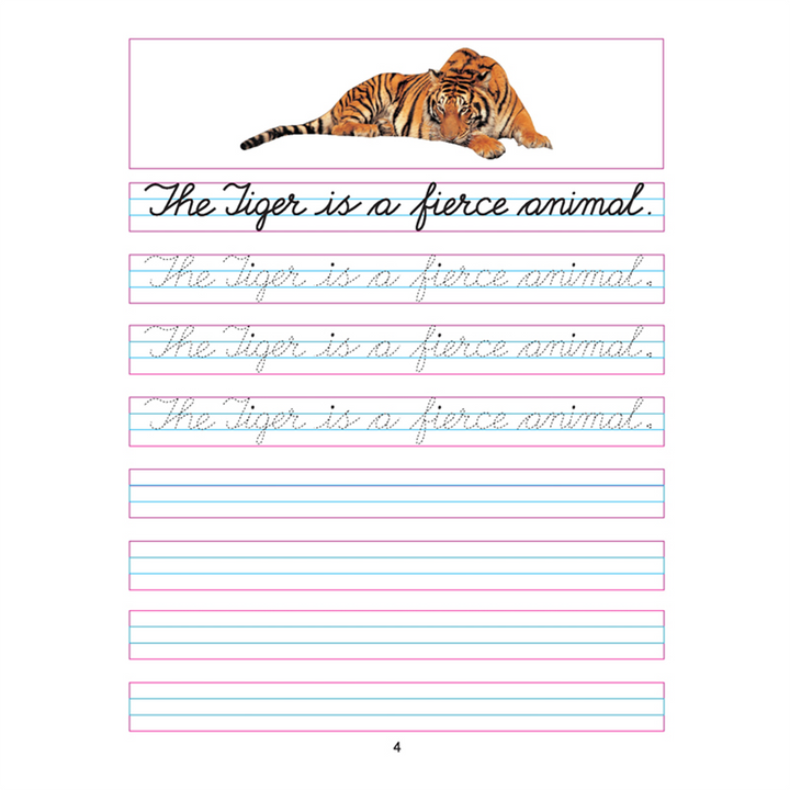 Cursive Writing Book (Sentences) Part 5