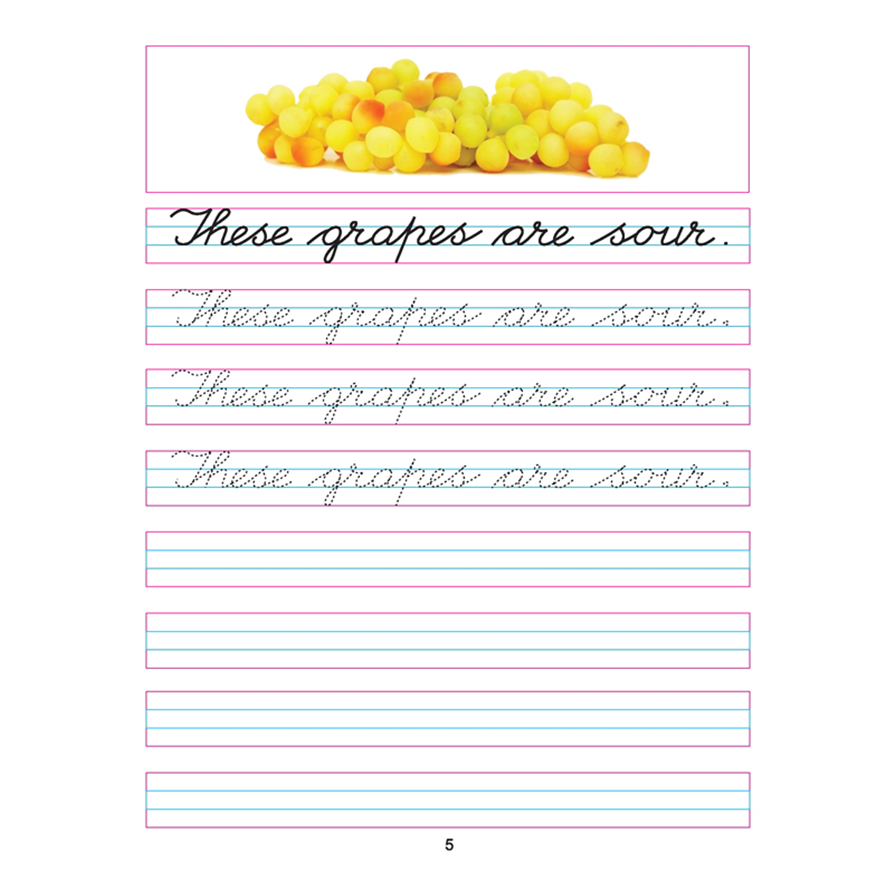 Cursive Writing Book (Sentences) Part 5