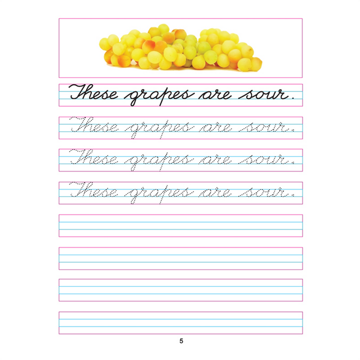 Cursive Writing Book (Sentences) Part 5