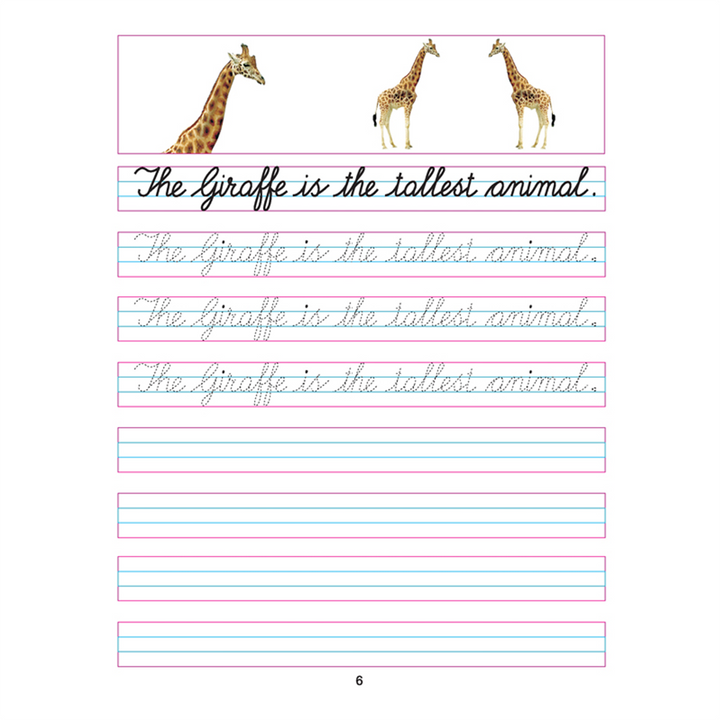 Cursive Writing Book (Sentences) Part 5