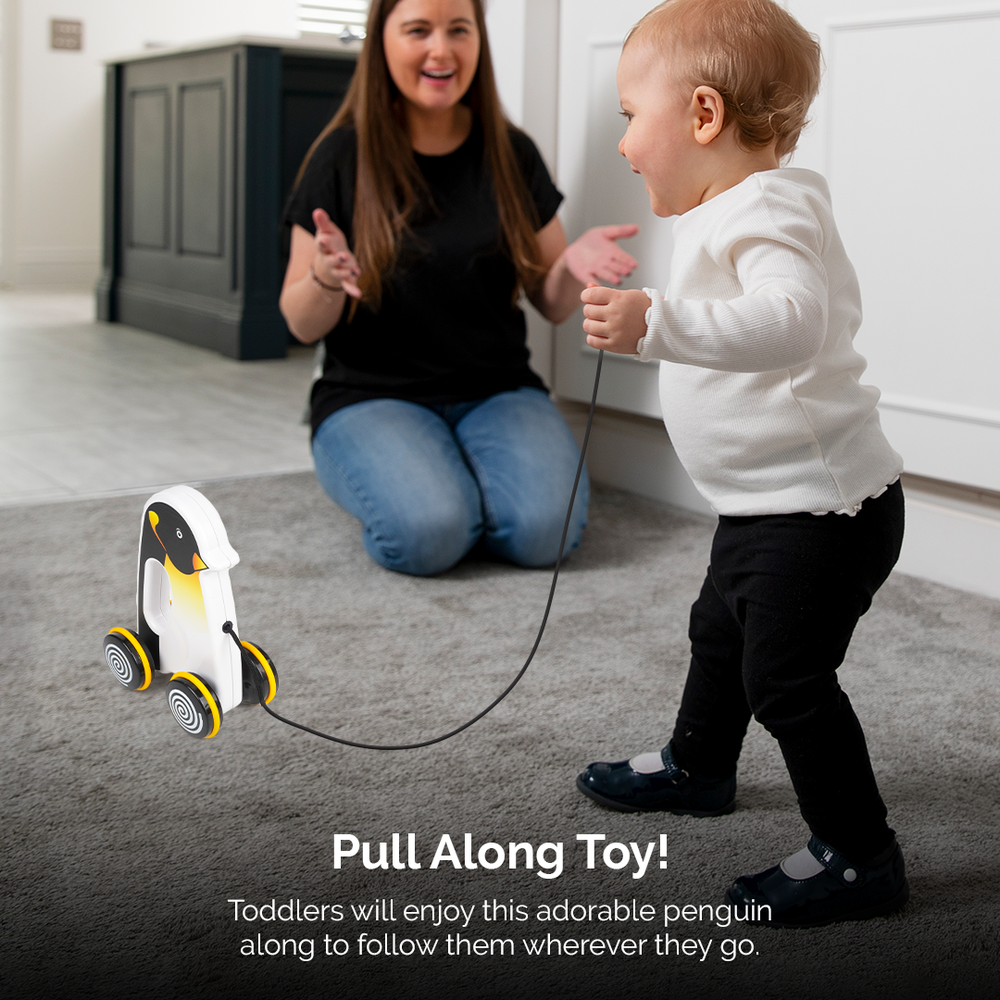 Pengo the Penguin Pull Along Toy