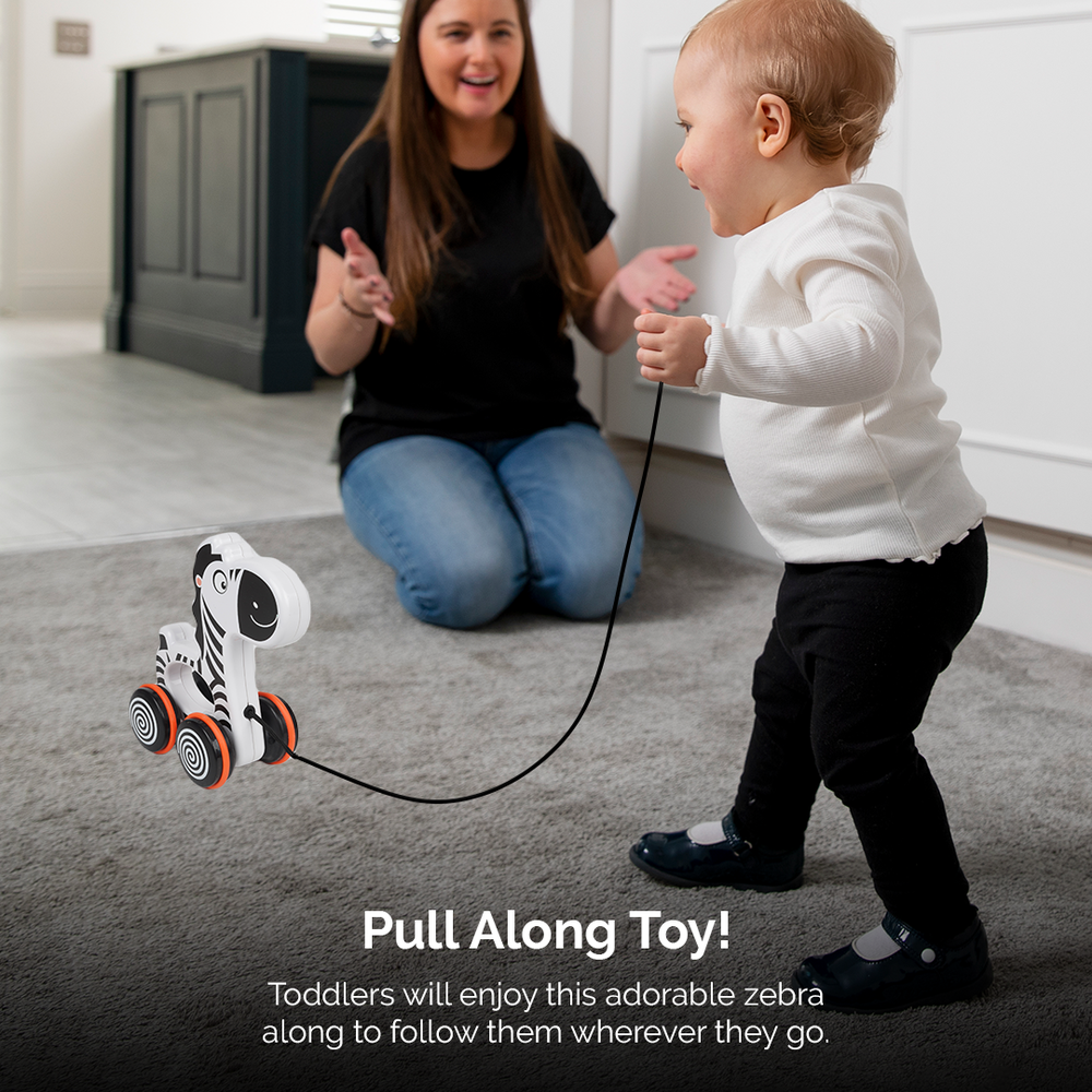 Zippy the Zebra Pull Along Toy