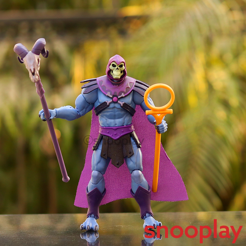 Mattel Original & Licensed Skeltor Action Figure (3 Years till Grown Ups)