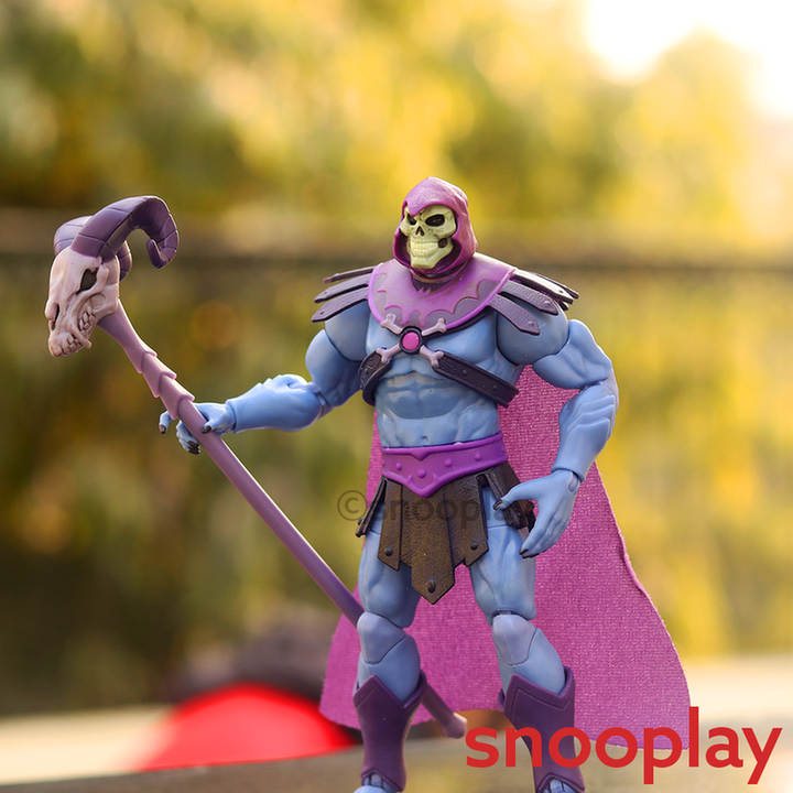 Mattel Original & Licensed Skeltor Action Figure (3 Years till Grown Ups)