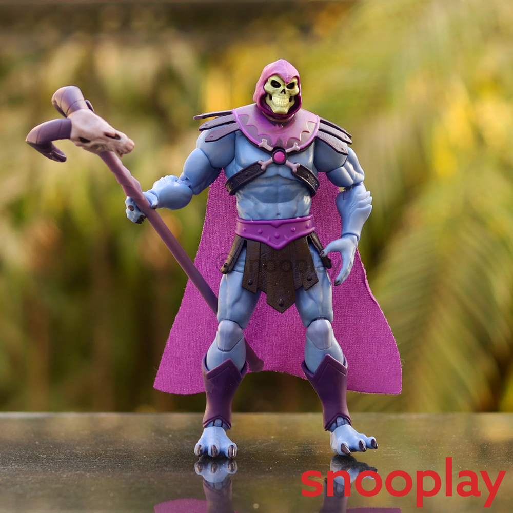 Mattel Original & Licensed Skeltor Action Figure (3 Years till Grown Ups)