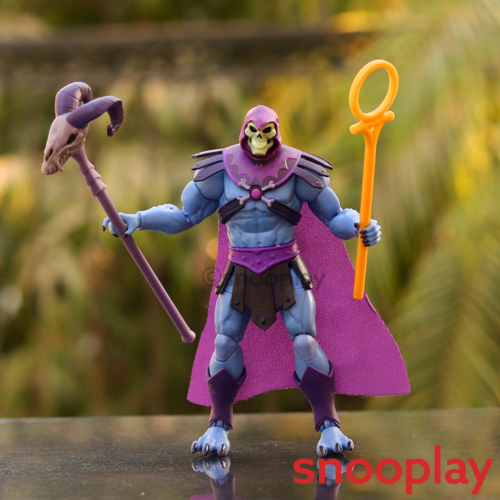 Mattel Original & Licensed Skeltor Action Figure (3 Years till Grown Ups)