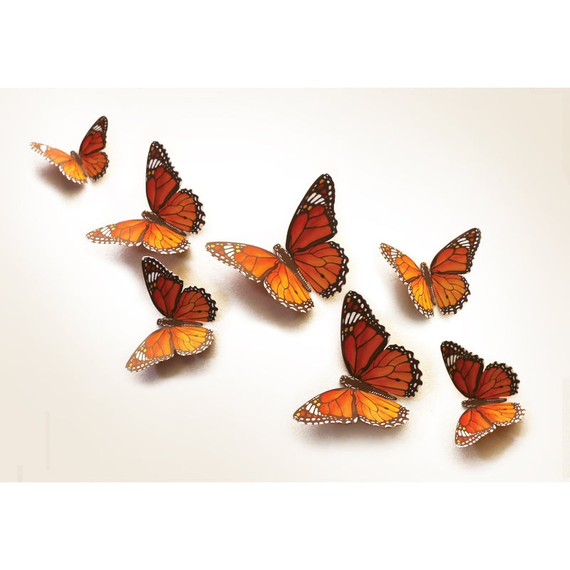 Colourful Paper Butterflies for Wall Decoration: Set of 24