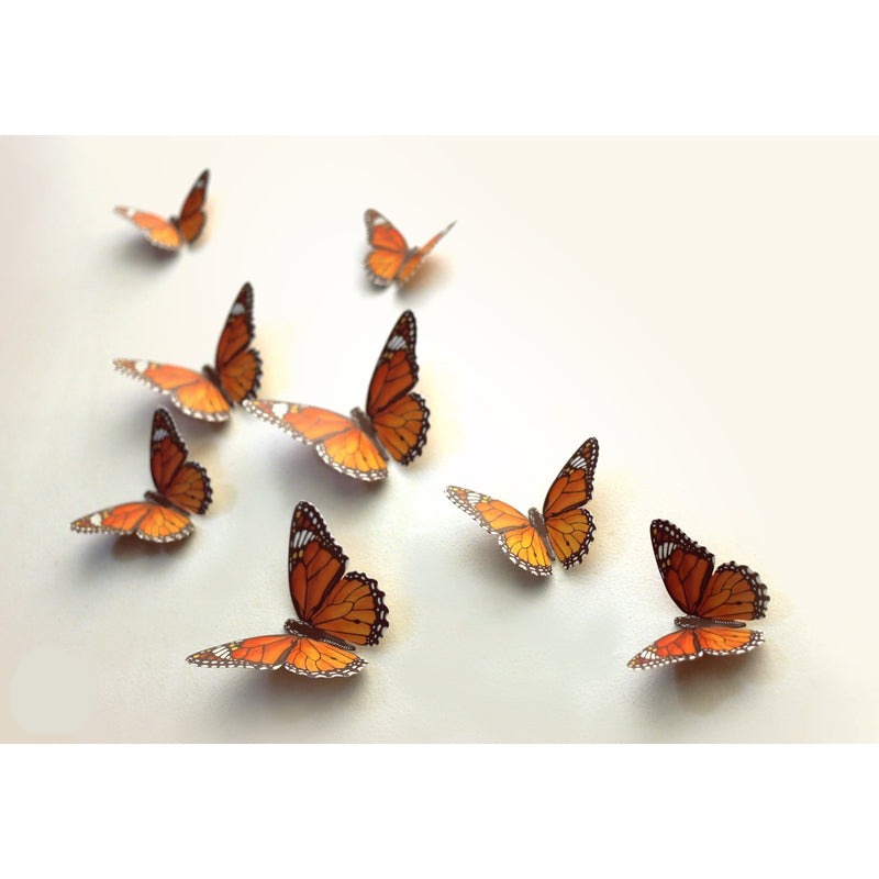 Colourful Paper Butterflies for Wall Decoration: Set of 24