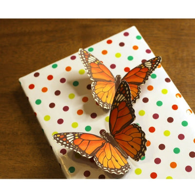 Colourful Paper Butterflies for Wall Decoration: Set of 24