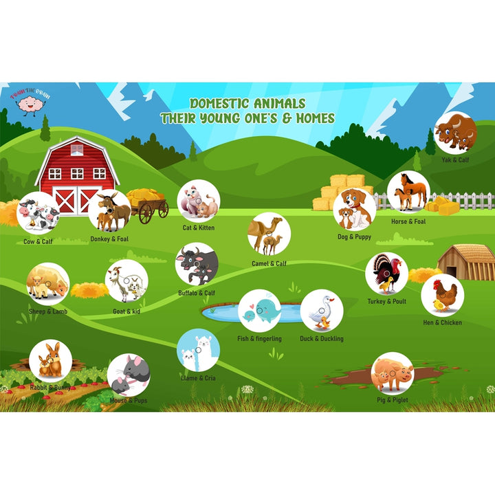 Domestic Animals Activity Mat