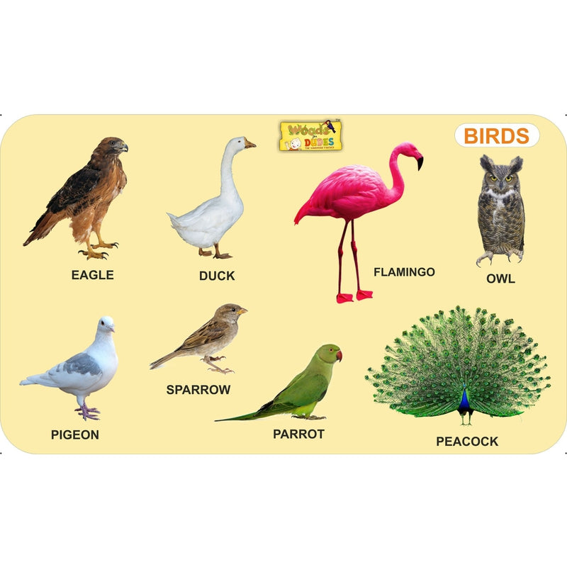 Birds - Educational Puzzles