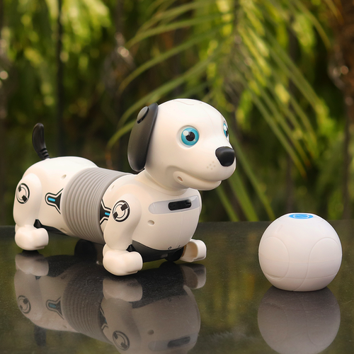 YCOO Robotic Dog with Smartball & Sensors | Electronic Robo Dackel Junior (5-10 Years)