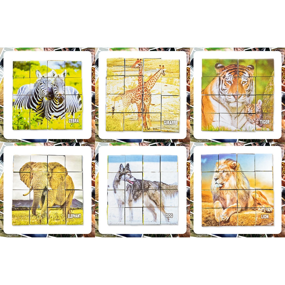 Zebra Block (Picture Block Set)