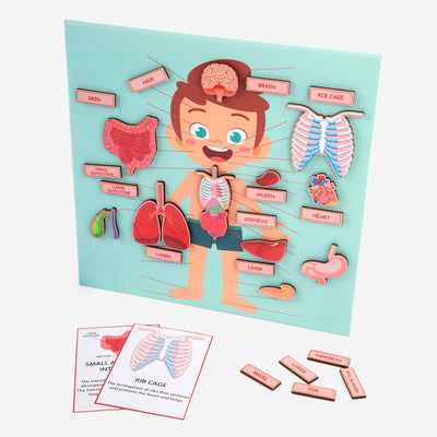 Body Parts (Know Your Body) - Learning and Education Puzzle