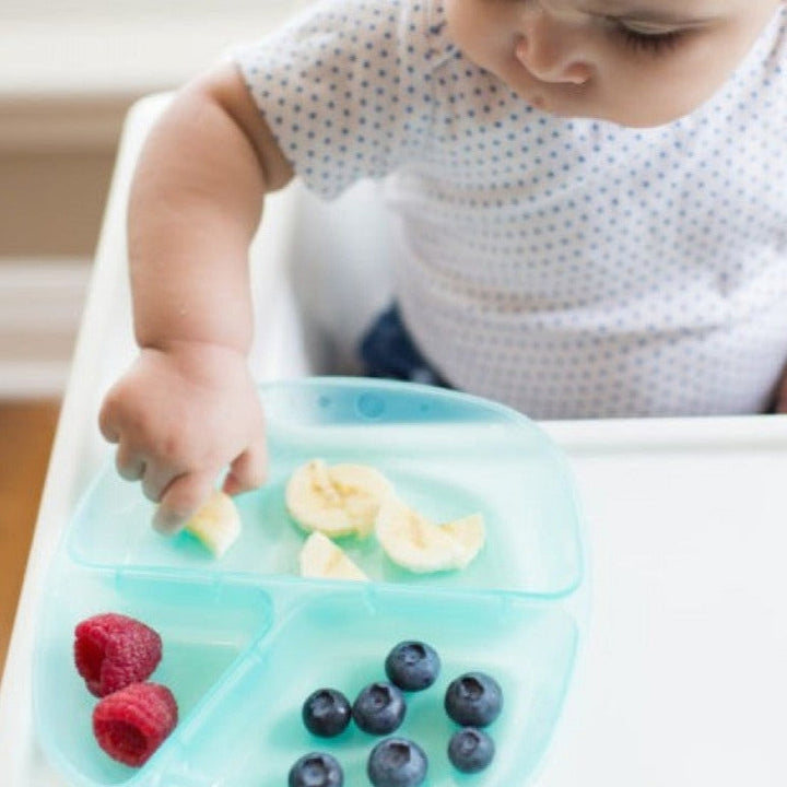 Feeding & Weaning Divided Plates-Multicolor