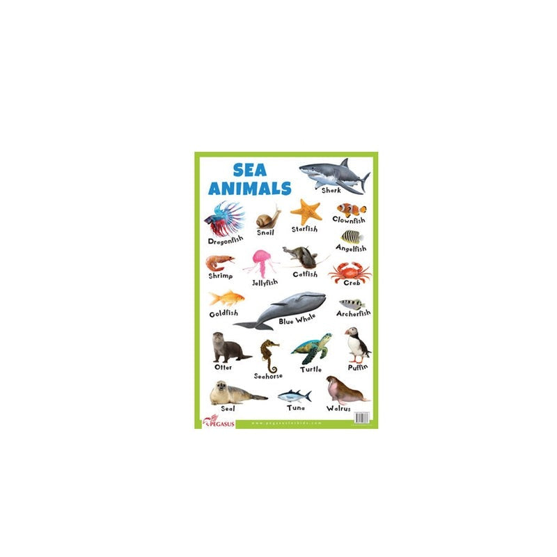 Sea Animals - Thick Laminated Primary Chart