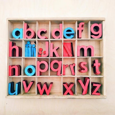 Montessori Moveable Alphabets (Without Tray)