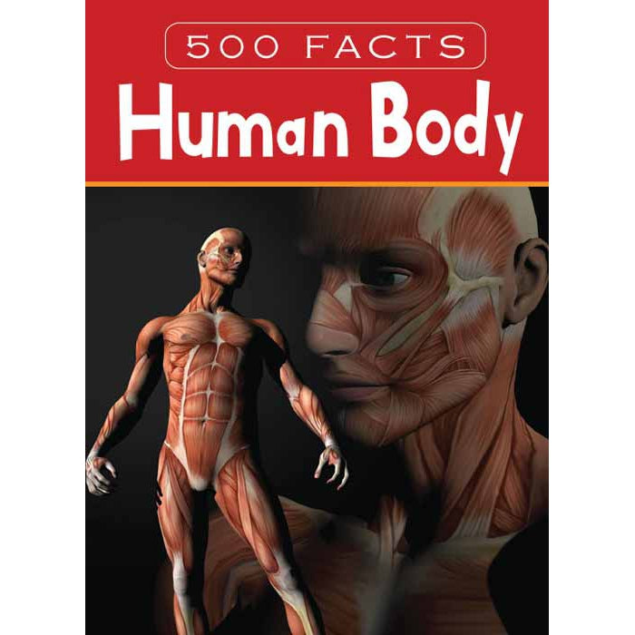 Human Body  500 Facts Book