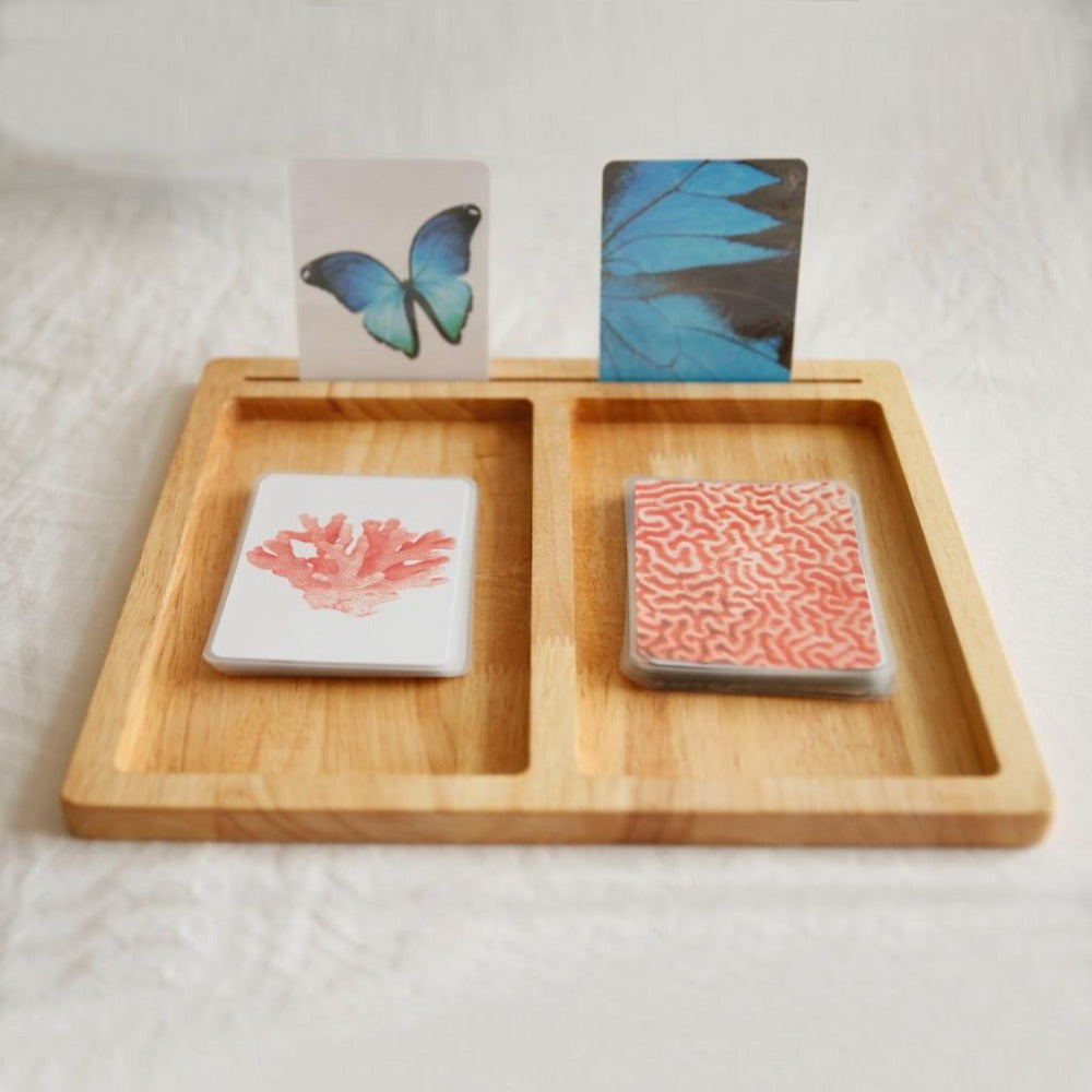 Montessori 2-part trays