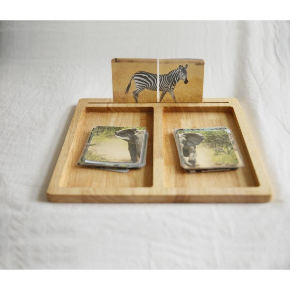 Montessori 2-part trays