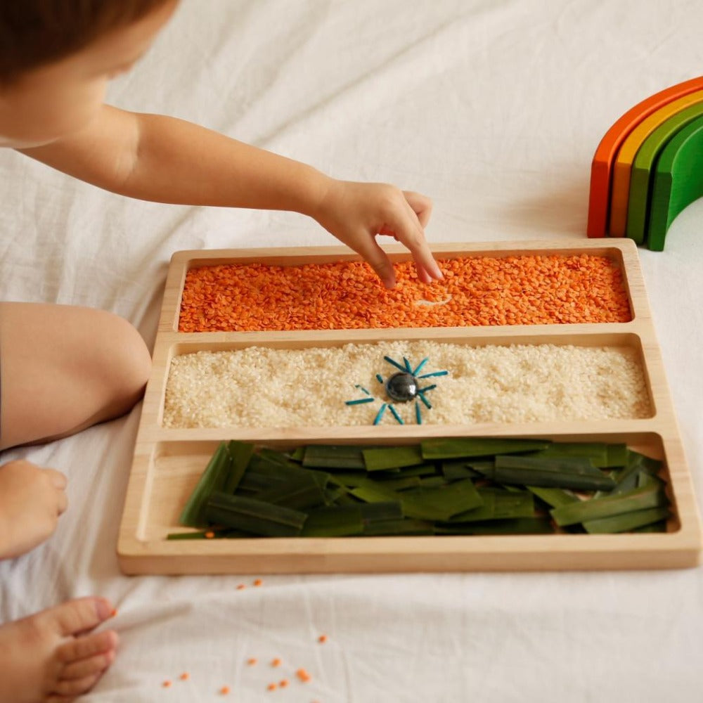 Buy 3 Part Montessori Flag Tray- Independence day Special Limited addition  on Snooplay Online