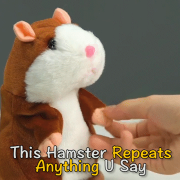 Talking Hamster Toy - HelloKidology