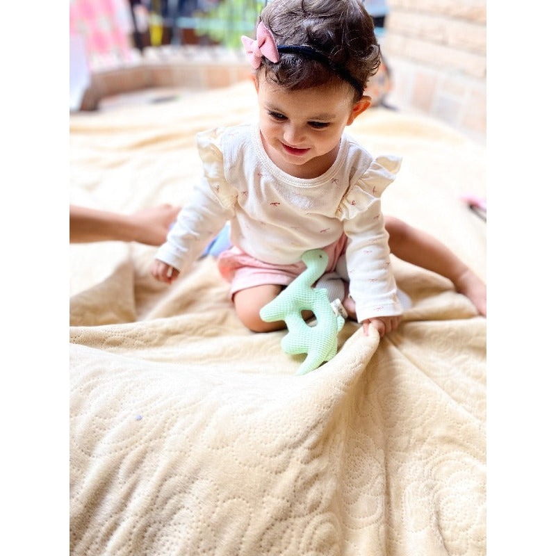 Dino Baby Rattle (3-12 Months)