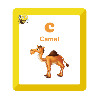 A to Z Animals - Flash Card  ( 2 - 7 Years )