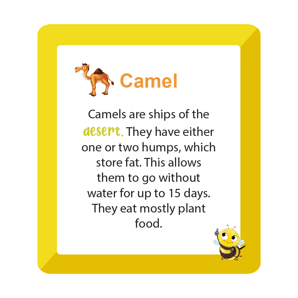 A to Z Animals - Flash Card  ( 2 - 7 Years )