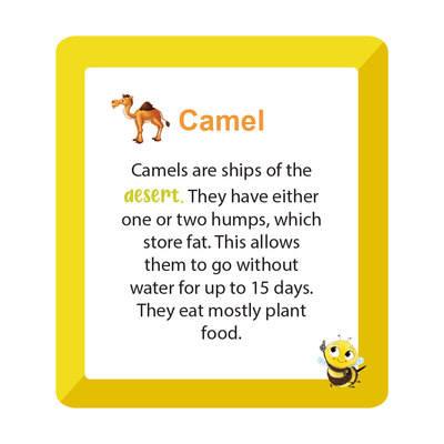 A to Z Animals - Flash Card  ( 2 - 7 Years )