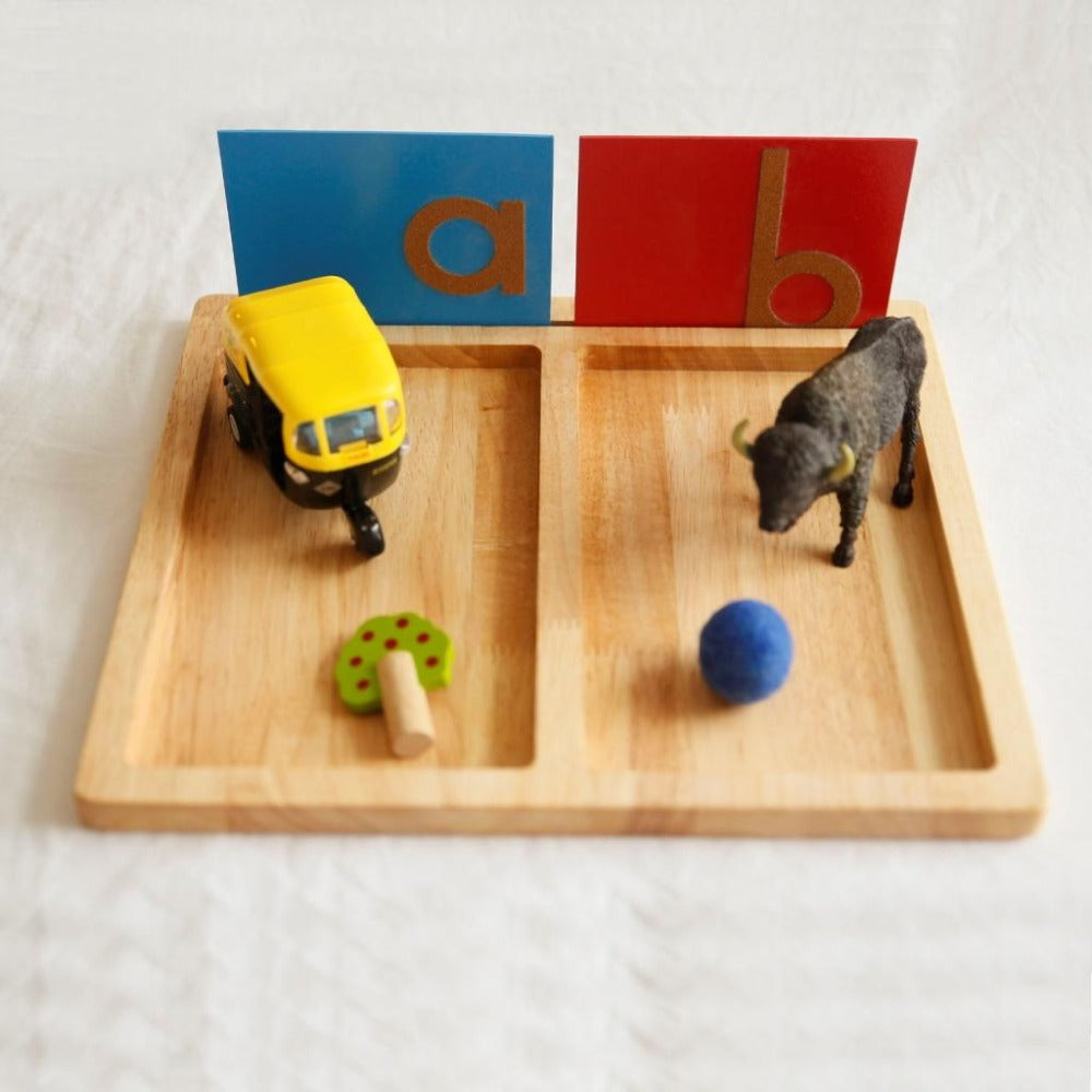 Montessori 2-part trays