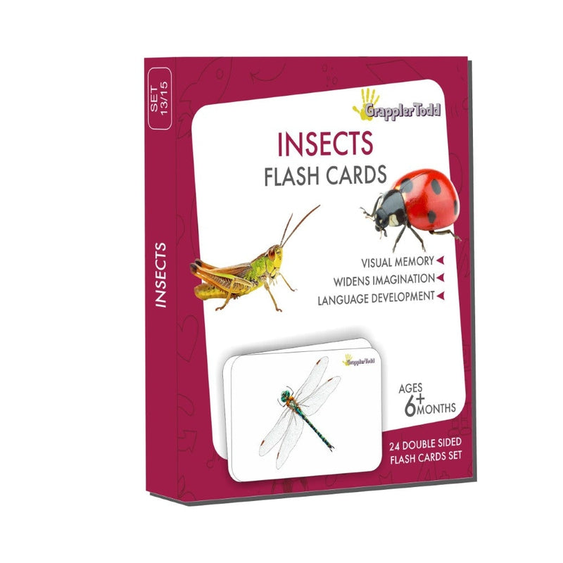 Insects Flash Cards