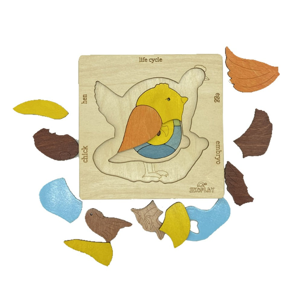 Life Cycle of a Chicken - Wooden Puzzle