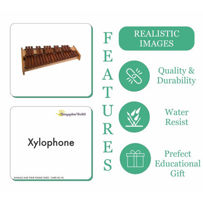 Musical Instruments Flash Cards