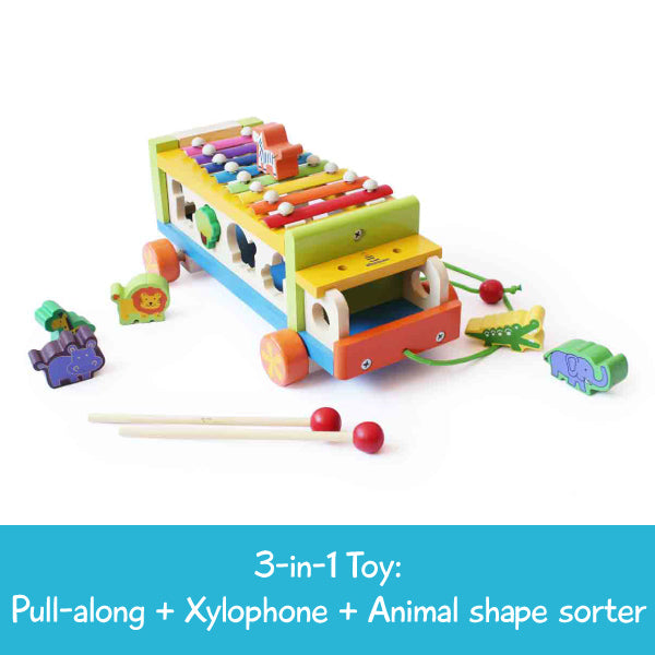 Musical Animal Activity Truck