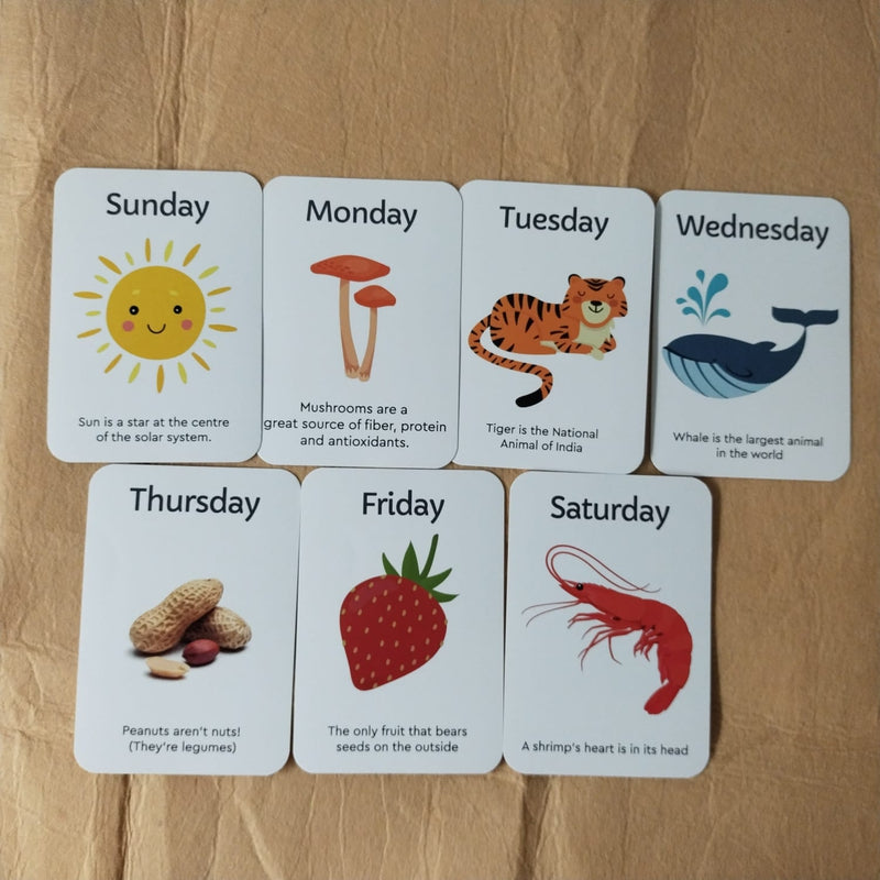 Name Of Seasons, Days and Months (Learning and Education Kit)