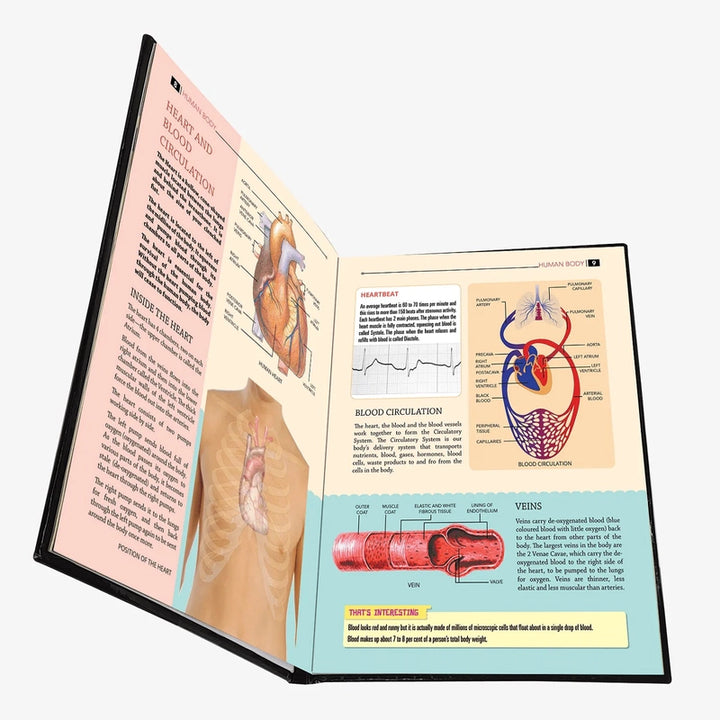 My Encyclopaedia Library Human Body Reading Book