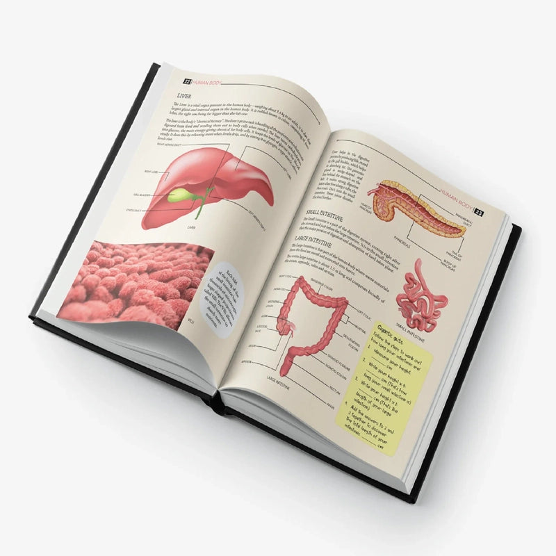 My Encyclopaedia Library Human Body Reading Book