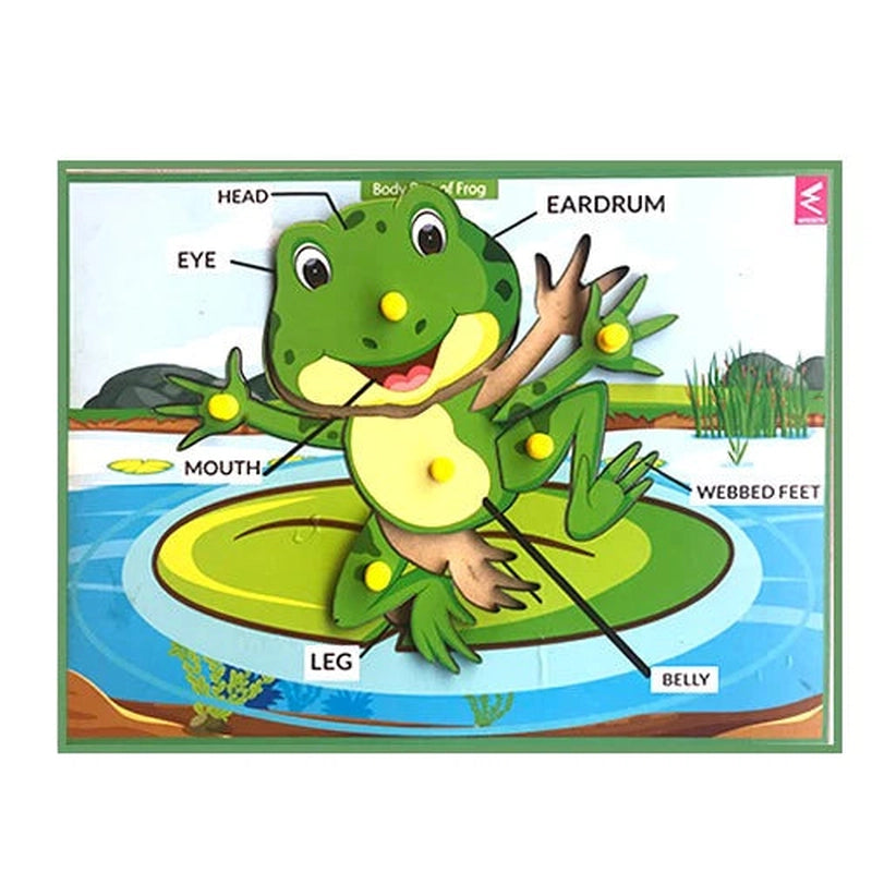 Wooden Frog Parts Learning Puzzle Peg Board